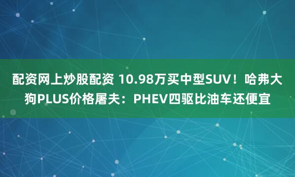 配资网上炒股配资 10.98万买中型SUV！哈弗大狗PLUS价格屠夫：PHEV四驱比油车还便宜