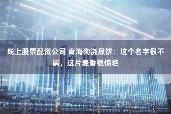 线上股票配资公司 青海狗浇尿饼：这个名字很不羁，这片麦香很惊艳
