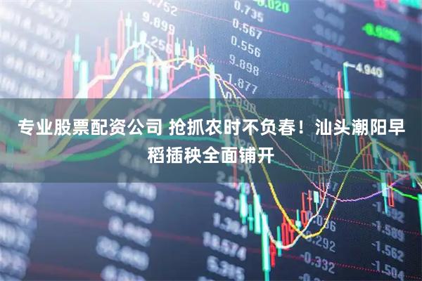 专业股票配资公司 抢抓农时不负春！汕头潮阳早稻插秧全面铺开