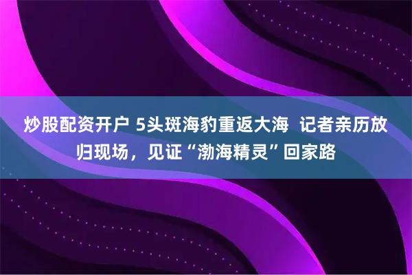 炒股配资开户 5头斑海豹重返大海  记者亲历放归现场，见证“渤海精灵”回家路